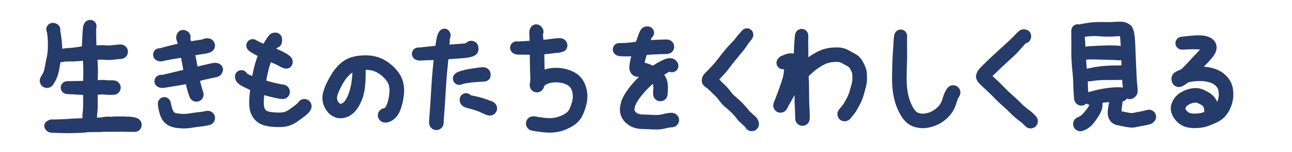 生きものたちをくわしく見る